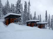 The Constella Cabins