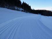 Cross-country ski trails in Rinn