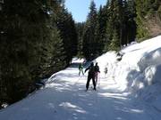 Sitnyakovo King's Cottage Ski Way