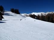 Watles downhill run below the mid-station (valley run)