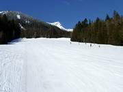 Easy and wide slope Incline