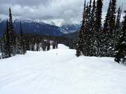 Connecting slope Ripper Connector