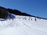 Practice area at the valley station of the Klösterlebahn
