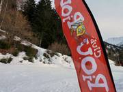 The ESF mascot Piou-Piou