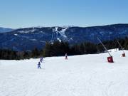 Easy and wide slope Chevreuil