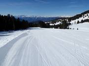 Intermediate slope Doladizza