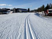 Cross-country ski trails in Levi