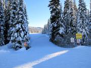 Cross-country trails in Sun Peaks
