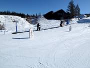 Free Rullis conveyor belt