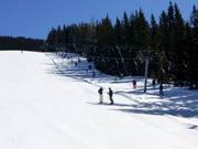 Weitmoos-Tellerlift - J-bar