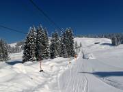 Übungslift Gapfohl - J-bar