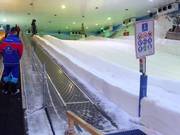 Snow City Egypt 2 - People mover/Moving Carpet