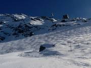 Mogul slope at Mont-Fort