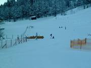 Rope tow Schedlerhof in the village of Brand