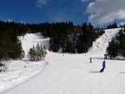 Hyttlibakken downhill run with mogul slope