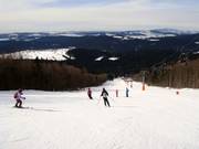 Intermediate slope at the Almberg chairlift
