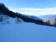 View from Baradello to Magnolta