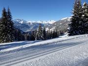Panorama cross-country trail at Kristberg