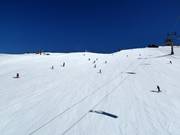 Slope Poligon Triglav-FIS