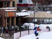 Gastronomy tip The Farm