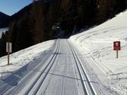 Well-groomed cross-country trail in Kals