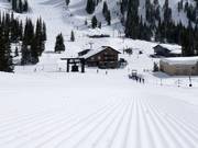 Very good slope grooming