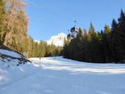 Valley run Ochsenweide