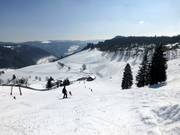 View from the Winkellift descent across to Franzosenberg