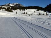 Valepper Almen cross-country trails at Spitzingsee