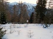 Closure of forest protection areas