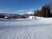Easy slope on the Reiteralm