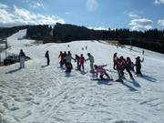 Beginner area at the DinoJet in Flachau