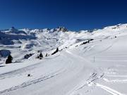 Panüöl-Fursch cross-country trail