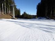 Very easy forest run in Lavarone