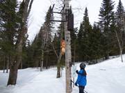 Adventure slope for children