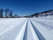 Cross-country trails in Geilo