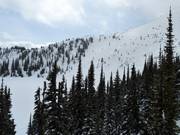 Challenging deep-snow slopes The Cliff