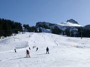 Easy slope at the Rossstelle chairlift in Mellau