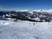 Practice slope with Kapell platter lift