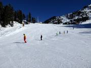 Beginners at the Weselelift