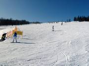 Easy slopes at the Thurnhof lifts
