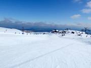 Easy slope Wintergarden