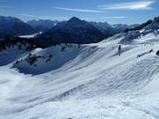 Treeless freeride terrain between the slopes