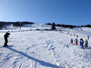 Practice area in Zieleniec