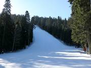 Black slope Martinovi baraki 4