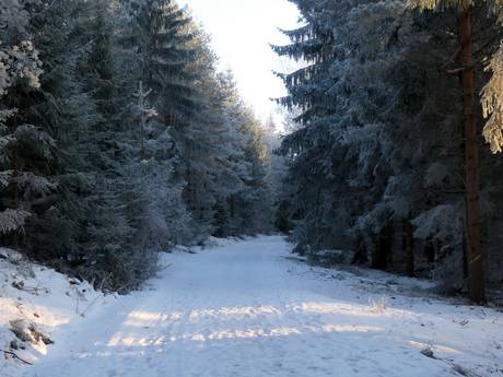 Cross-country skiing Southeast Czech Republic (Jihozápad) – Cross-country skiing Lipno