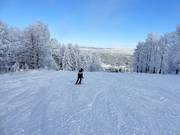 Intermediate slope at the Kleine Almberg chairlift