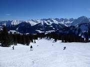 IF5 ski glide trail Gottesacker