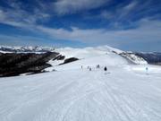 Easy slope No. 1 from Vrh Troglava