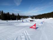 Wave track on the Gaia piste